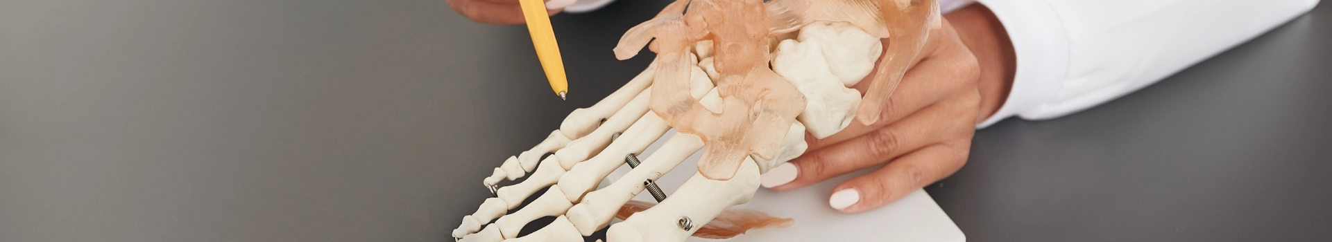 makieta szkieletu kości dłoni - banner